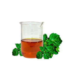 Aceite de Pachulí Indonesio Auténtico con Aroma Amaderado Terroso, Aroma Atsiri Indonesia Modelo PATCHOULI OIL EARTH 28 para Perfumería - Product Image 1