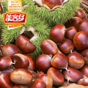 Châtaigne douce chinoise Châtaigne Yanshan de haute qualité Bon <span class=keywords><strong>prix</strong></span> Chine Exportation Châtaigne fraîche - Product Image 4