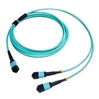 Jumper Konversi Serat Optik Carrier Grade 16 Fiber MPO ke 2x MPO 8 Fiber OM3 50/125um 10G 40G High Bandwidth Optical Splitter untuk 400G