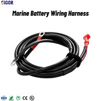 Faisceau de câblage de démarrage électrique pour moteur hors-bord marin 66T-82105-J1-00 PTFE/PBT/PVC, indice de protection IP67, gaine en PVC, compatible Yamaha 40HP E40X