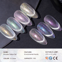 Vente en gros de vernis à ongles Fournitures Brocart Cat Eye Gel Diamond Reflective Gel Polish 1kg Kilogrammes