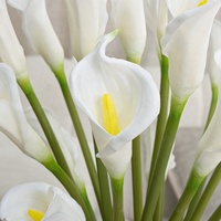 Arrangement de plantes artificielles Calla Lily directement de l'usine avec vase en verre et fleurs en soie pour la décoration du hall d'hôtel