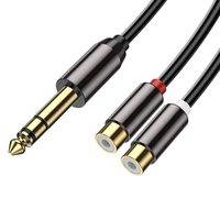 Câble audio coaxial torsadé plaqué or 6,5 mm mâle vers 2 RCA femelle, adaptateur répartiteur jack stéréo pour guitare/haut-parleur, gaine en PVC