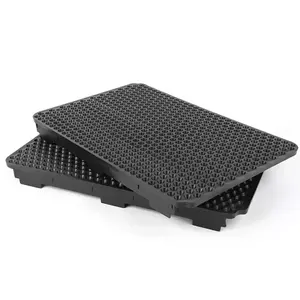 Black Bean Sprouts Seedling Tray Plastic Seed Sprouter Tray Germination Nursery Tray with Drain Holes