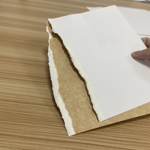Rollos de Cartón Kraft de Alta Calidad <span class=keywords><strong>Ckb</strong></span> de 250 g/m² con Revestimiento Blanco en la Parte Delantera y Respaldo de Papel para un Buen Material de Embalaje - Product Image 3