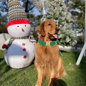 Rarewe Accesorios para Mascotas, Conjunto de Collar y Correa para Perro, Collar de Entrenamiento de Nailon Táctico de Lujo, Sin Tirones, para Perros Grandes y Medianos - Product Image 4