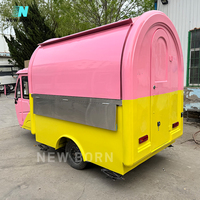 Nouveau-né personnalisé électrique Mobile Tuktuk Ice Cream Traiteur Food Truck Hot Dog Pizza Shawarma Tricycle Food Cart Usa