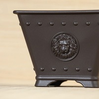 Pots de bonsaï en plastique carrés traditionnels au design unique de 15.9cm pour cactus et arbre succulents avec motif de lion sur la surface