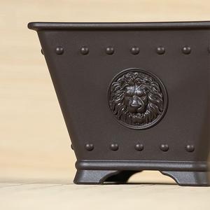 Pots de bonsaï en <span class=keywords><strong>plastique</strong></span> carrés traditionnels au design unique de 15.9cm pour cactus et arbre succulents avec motif de lion sur la surface - Product Image 2