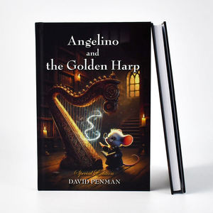 สำหรับพิมพ์บทกวี นวนิยาย วารสารต่างประเทศ สติกเกอร์สำหรับเด็ก กระดาษรักษ์โลก ปั๊มร้อนสีเงิน ปกแข็ง ปรับแต่งได้ - Product Image 6