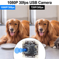 1080P IMX323 Webcam düşük ışık 0.01Lux H.264 Mini endüstriyel USB kamera modülü için Windows Android Mac Linux ahududu Pi