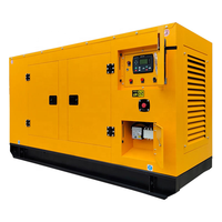 Groupe électrogène diesel silencieux insonorisé 100kW 200kW 300kW 400kW pour ferme porcine et avicole