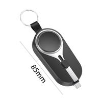 2-in-1 Mini-Handy-Ladegerät Tragbares Notfall-Mini-Schlüsselanhänger-Powerbank Einweg-Powerbank