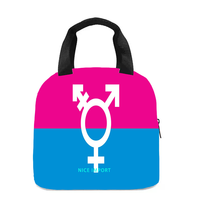 Sac à lunch Two Spirit Rainbow pour femmes et hommes, sac fourre-tout réutilisable, sacs à lunch isothermes pour le travail, le pique-nique, l'école ou les voyages