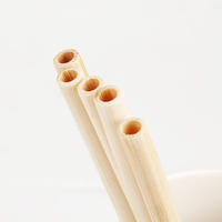 Pailles en bambou jetables biodégradables, écologiques, authentiques, de haute qualité, service 24h/24