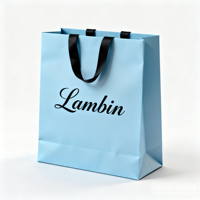 Sacs d'emballage de luxe en carton écologique personnalisés en gros avec logo gaufré et poignées plates pour bijouteries et magasins de vêtements