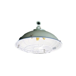 CGD3-2 High-Power Marine Steel Single-Five <b>Bulb</b> Chandelier with Mesh <b>Cover</b> for Cargo Holds Warehouses Explosion-proof <b>Lights</b> - Product Image 1