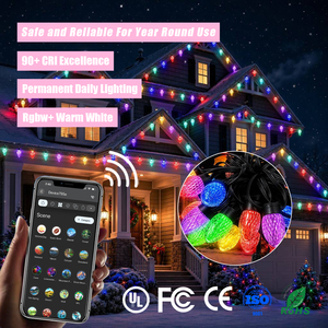 Luces de Navidad para Exteriores IP65, Luces de Cadena LED SMD RGBW Cálidas Blancas de 24 V, Luces de Cadena de Navidad con Bombillas LED SMD RGBW - Product Image 1