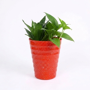 PP Flower <b>Pots</b> for Home Indoor Use Lightweight Design <b>Small</b> Size Modern Minimalist Plastic Planters White and Black - Product Image 1