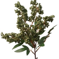 Kunstmatige Nandina-bes bloemstelen, herfstfruit Nandina schuimbes takken, groen decoratie te koop