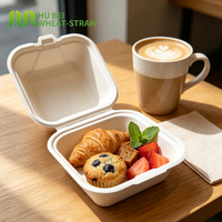 Boîte à gâteau carrée 4x4 pouces à emporter, en bagasse compostable, type coquille, robuste, pour desserts et aliments, de qualité industrielle