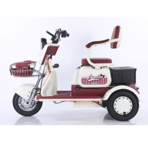 โรงงานขายส่งรถสามล้อไฟฟ้า 48V ไม่มีหลังคา สำหรับรับ-ส่งเด็ก - Product Image 3