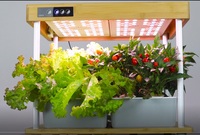 IGS-06 Jardin hydroponique vertical d'intérieur, kit de culture avec 16 pots, éclairage LED, kit électronique intelligent pour la maison, design moderne