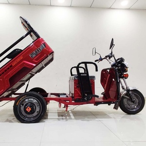 รถสามล้อไฟฟ้าขนาดเล็กสำหรับผู้สูงอายุ ขายส่งจากโรงงาน - Product Image 3
