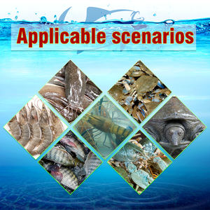 Additifs alimentaires pour le tilapia Additifs alimentaires pour poisson-chat suppléments de poids stimulateurs de croissance - Product Image 5