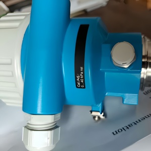 Sensor Cerámico Absoluto Original E+H PMP51B con Soporte OEM/ODM, IP66/IP68, 1 Año de Garantía, Certificado EX, Original E+H PMP51B Pr - Product Image 5