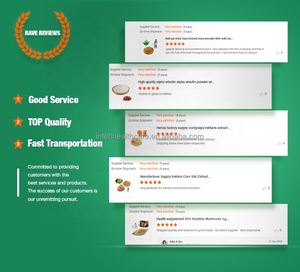 Ekstrak Tanaman ekstrak alami asam loquat organik kualitas tinggi 10% 98% bubuk asam ursolik - Product Image 5