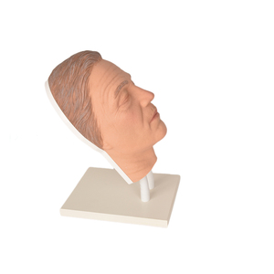 Tête de mannequin Mannequin d'injection faciale Simulateur de tête de mannequin en silicone Modèle de visage masculin pour la formation - Product Image 6