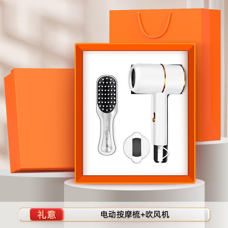 ชุดสองชิ้น: ไดร์เป่าผมและหวีไฟฟ้านวด