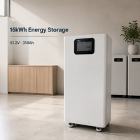 Sistema de Almacenamiento de Energía con Batería de Litio de 5kWh Montable en Pared, Inversor Todo en Uno de 2kW y 12.8V 314Ah con MPPT RS485 WiFi