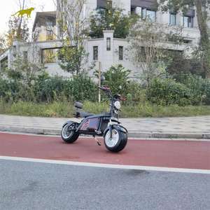 Faro Delantero y Luz de Dirección Trasera para Motocicletas Eléctricas - Product Image 5