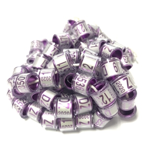 Postduif ringen clip 2020 - Product Image 4