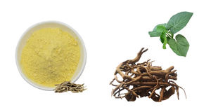 Per uso alimentare naturale puro estratto di radice di <span class=keywords><strong>Kava</strong></span> in polvere di 1%-30% <span class=keywords><strong>Kava</strong></span> lattoni integratore a base di erbe in borsa tamburo imballaggio ordine minimo 1kg - Product Image 3