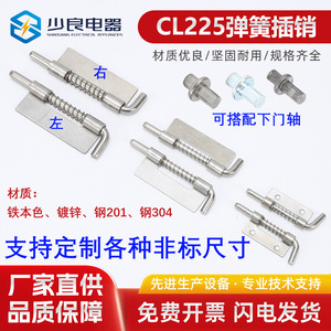 Charnière à ressort Shaoliang Electric CL225 à broche plate en acier inoxydable 304 pour porte d'armoire de distribution, ouverture à 180 degrés - Product Image 5