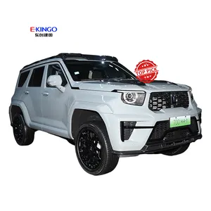 Chengdu Jianguo 2024 tangki Motor dinding besar 700 EV SUV pra penjualan GWM 5 kursi 3.0T kendaraan Offroad bensin hibrida mobil baru