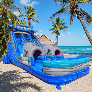 Tobogán Acuático Inflable Gigante de PVC de Calidad Comercial <span class=keywords><strong>para</strong></span> Adultos, Toboganes Inflables Personalizados de Calidad Comercial <span class=keywords><strong>para</strong></span> Adultos - Product Image 3