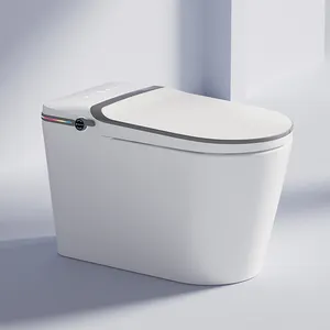 مرحاض ذكي تلقائي للحمام من ZHONGYA من شركة التصنيع الأصلية E520، مرحاض ذكي كهربائي قطعة واحدة للحمام بسعر خاص