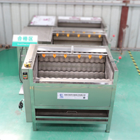 Machine à peler le manioc Huafood HDF800 800 kg/h, machine à peler la peau de la tapioca
