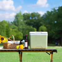 Glacière isotherme en promotion 6L 8L 15L 24L 28L 30L – Glacière portable en EPS pour camping et utilisation en voiture