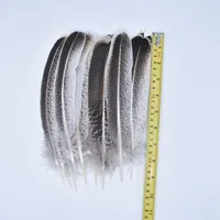 Lot de 10 Plumes d'Aigle Naturelles Véritables, Plumes Brutes pour Décoration, Artisanat de Faon, Accessoires de Carnaval, Plumes pour Broderie et Décoration