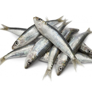 <span class=keywords><strong>Sardinas</strong></span> congeladas al por mayor Caballa Sardina HGT Proceed <span class=keywords><strong>Sardinas</strong></span> para exportaciones - Product Image 1
