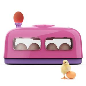 Incubateur de poussins 8Egg de dernière technologie avec batterie à ceinture pièces de rechange du Bangladesh à vendre <span class=keywords><strong>Amazon</strong></span> à faible coût - Product Image 5