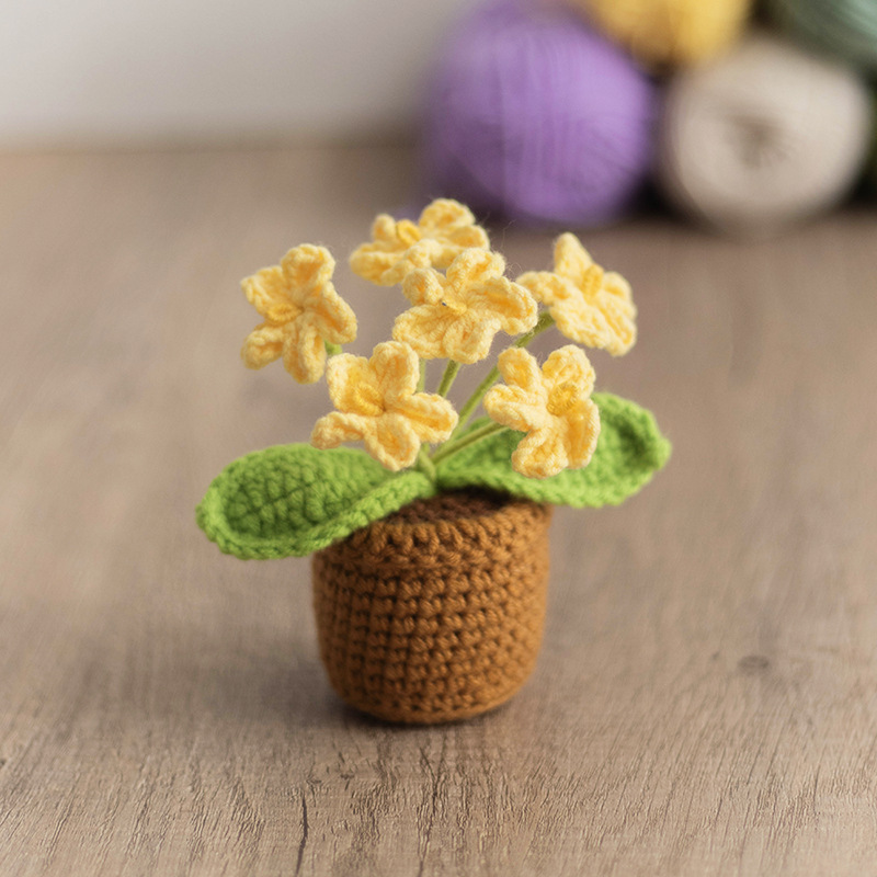 6 yellow forget-me-nots