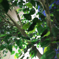 Bon marché Prix Naturel Real Touch Banyan Arbres Grand Ficus Décoratif En Plastique Arbre Hôtel Intérieur Église Décoratif