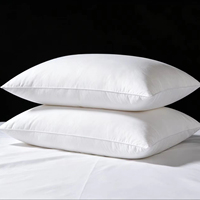 Oreiller en duvet d'oie de haute qualité, garnissage 1100g, housse en coton respirant, confortable et doux, pour la maison et l'hôtel, vente en gros