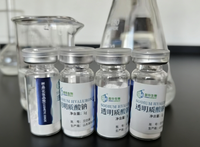 Sodium Hyaluronate Kelas Kosmetik Berkualitas, Bubuk Massal Berat Molekul Rendah. Dokumen Ekspor Lengkap dan Utuh.